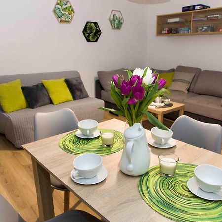 Apartament Grapa Żywiec Esterno foto